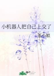 小机器人把自己上交了的小说